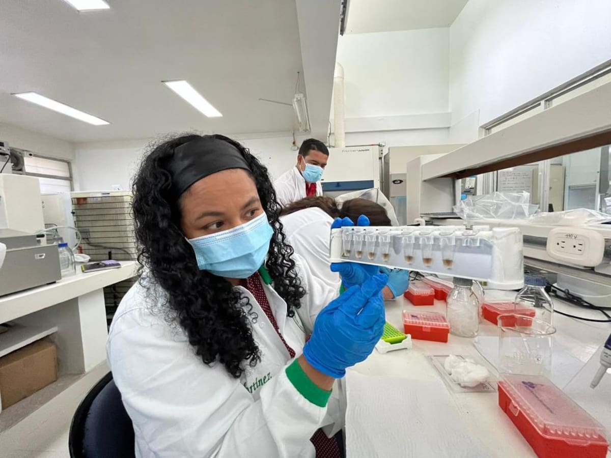 Científica colombiana descubre nuevo coronavirus en Córdoba: ¿Debemos preocuparnos?