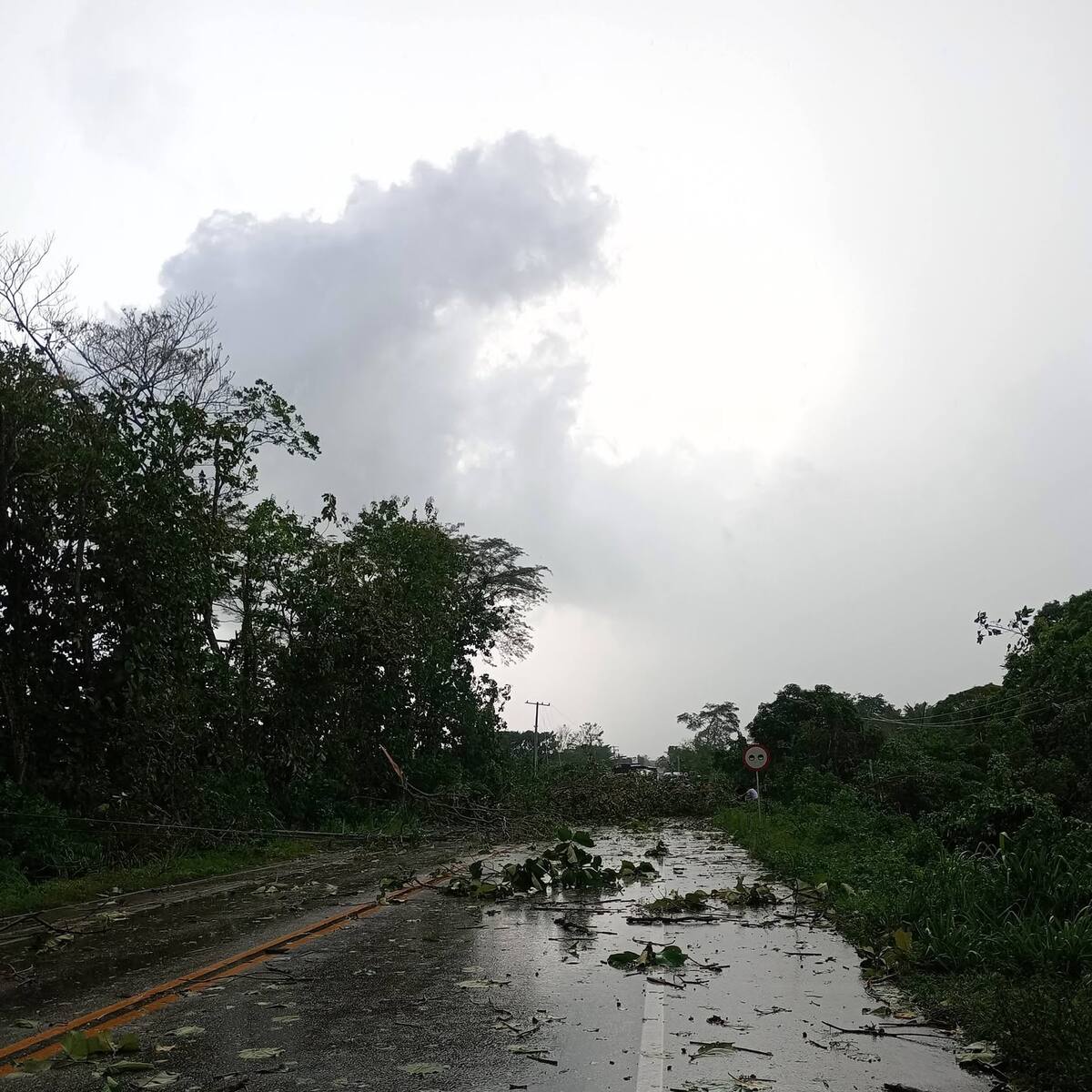 Lluvias y fuerte vendaval afectó a habitantes de Malagana, Bolívar