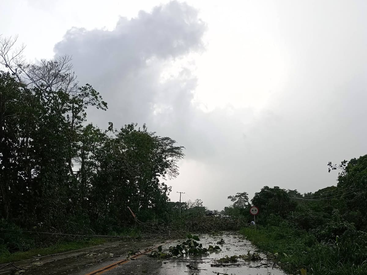 Lluvias y fuerte vendaval afectó a habitantes de Malagana, Bolívar