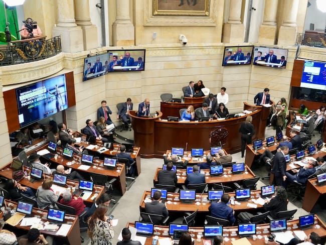 Plenaria del Senado de la República. Foto: Cortesía