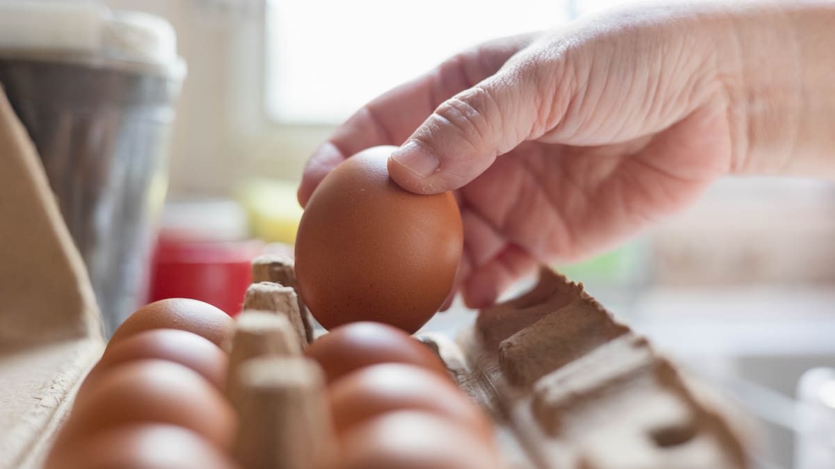 ¿Por qué los huevos vienen en docena? La explicación tiene cientos de años