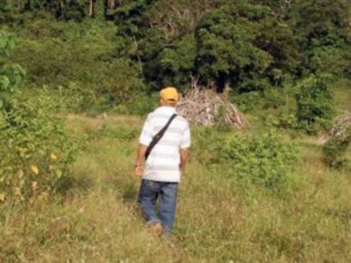 Presidente Santos entregará detalles de la usurpación de tierras a manos de las Farc