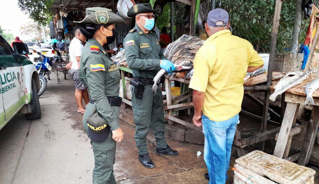 Las autoridades realizarán operativos en diferentes lugares de comercio de este puerto Carvajalino