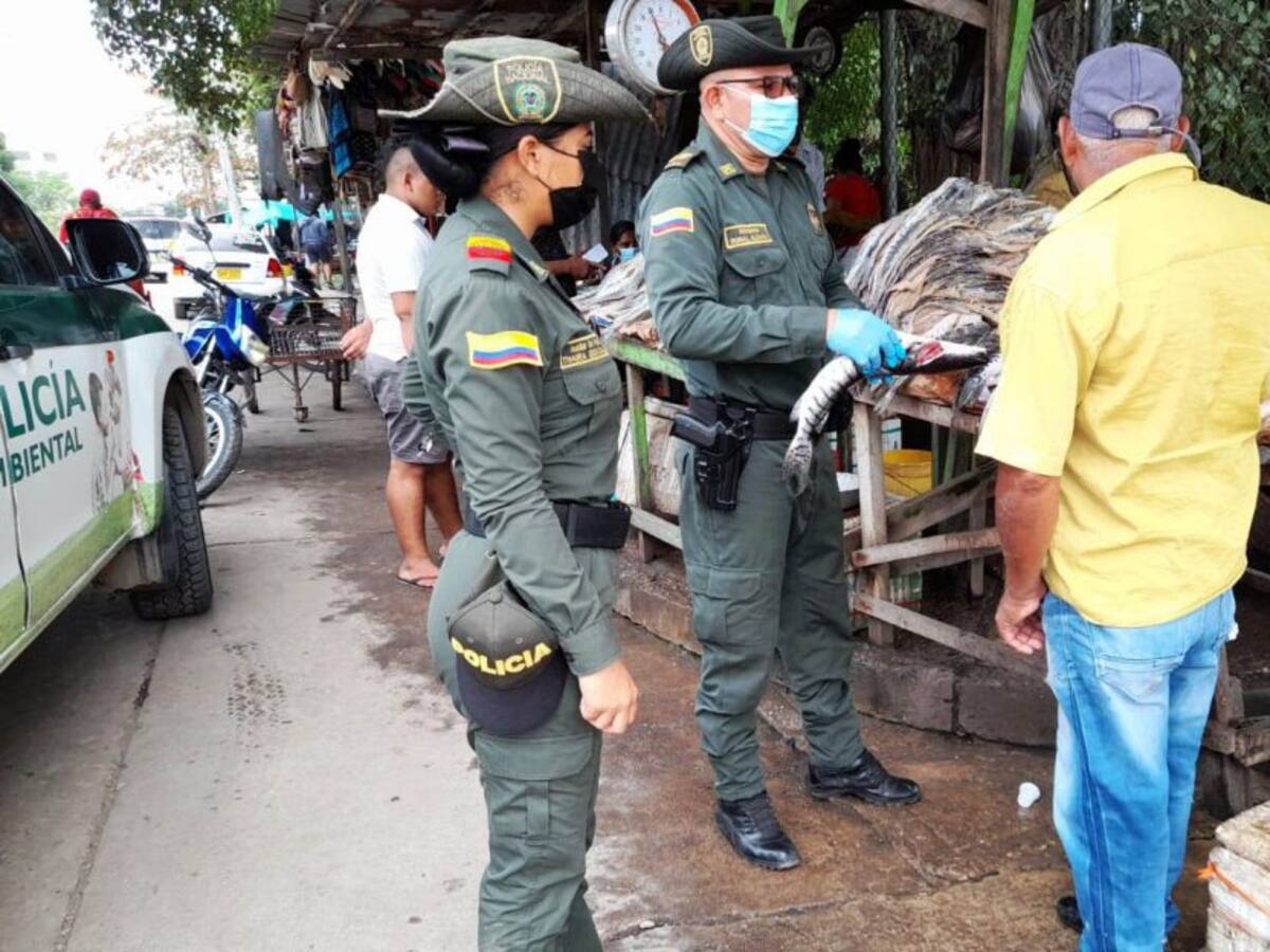 En Magangué Policía realiza Controles sobre la venta de pescado