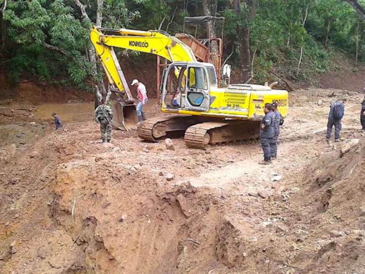 Consejo de Estado avala consulta popular en Ibagué