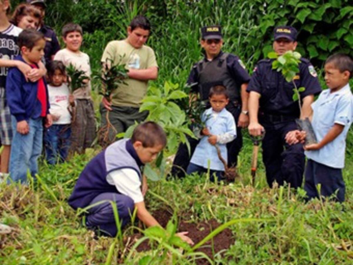 Niños formarán parte del programa de siembra de árboles en Centroamérica