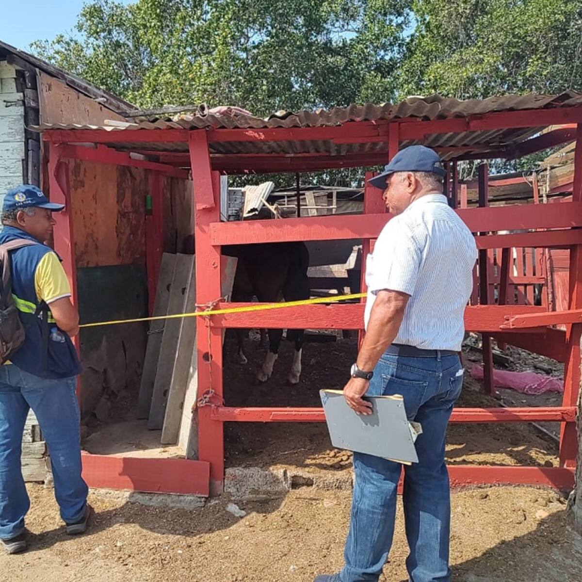 DADIS verificó condiciones sanitarias de sitios de descanso de los caballos cocheros