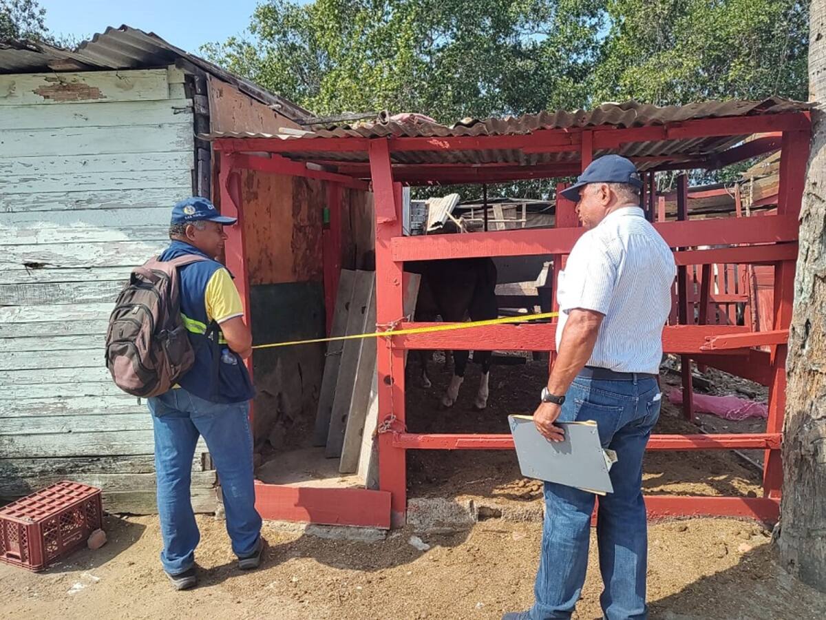 DADIS verificó condiciones sanitarias de sitios de descanso de los caballos cocheros
