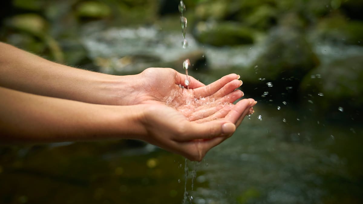 Día Mundial del agua: ¿Debemos preocuparnos?