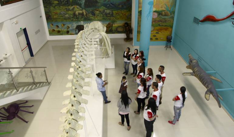 Museo al servicio de los colombianos