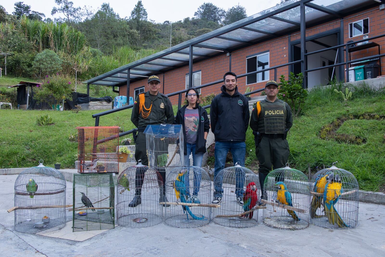 Fauna silvestre recuperada en el Oriente de Antioquia- foto Cornare