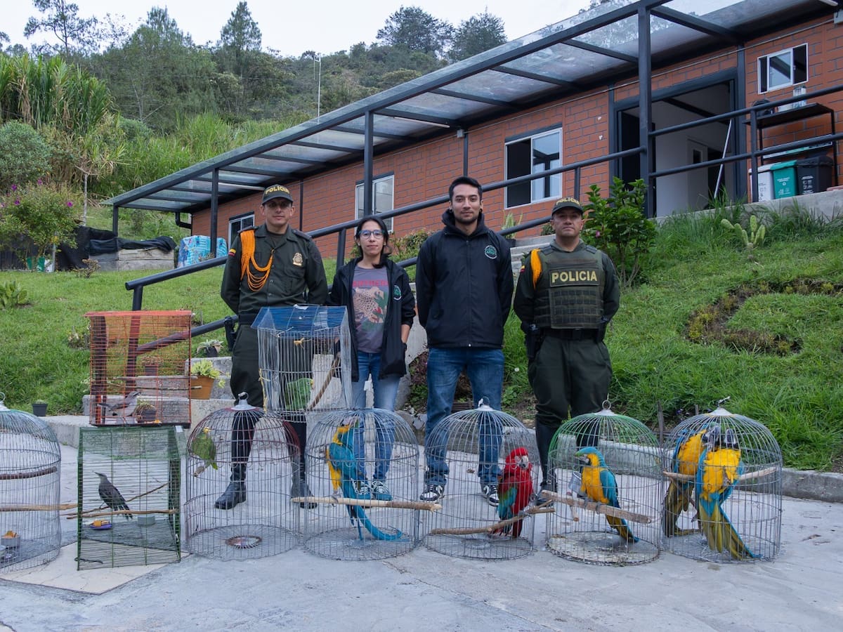 Las autoridades recuperaron 10 especies de fauna silvestre en El Peñol y Guatapé