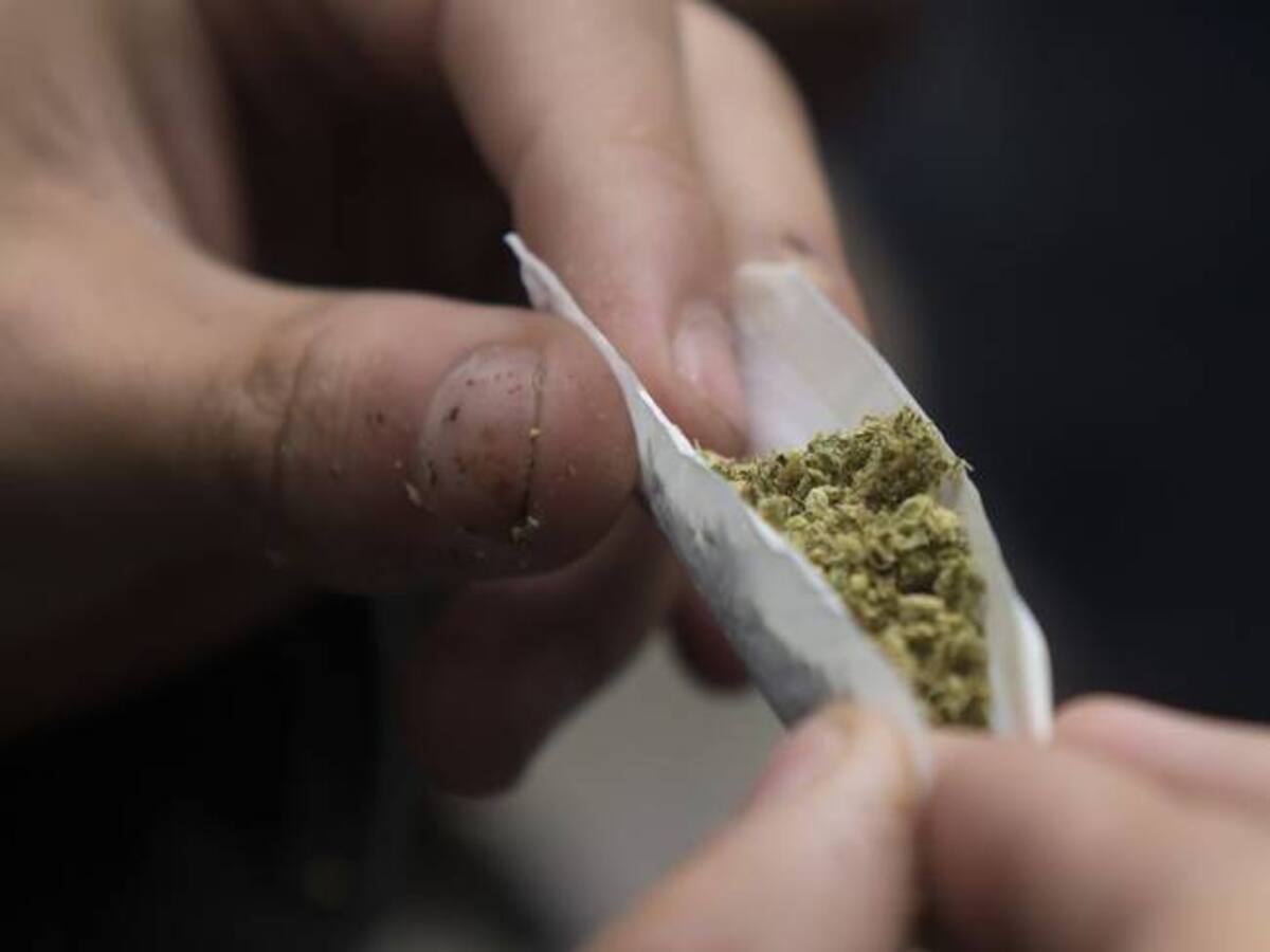 ¿Qué dijeron desde el comité de cannabis Quindío sobre el decreto que derogó el gobierno?