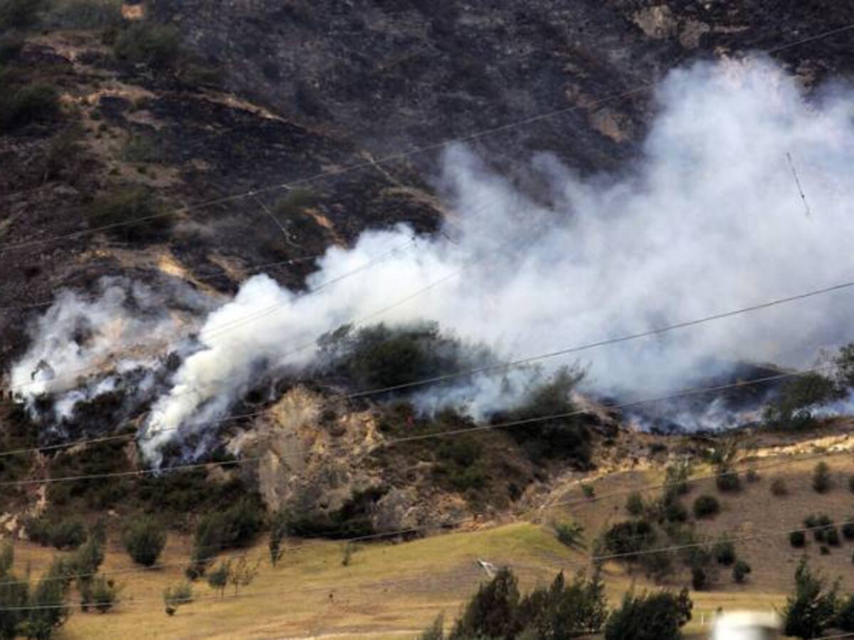 CAR de Cundinamarca busca reforestar áreas afectadas por incendios