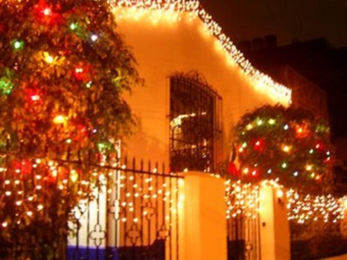 ¿Cómo mitigar los efectos de la época decembrina, en el medio ambiente?