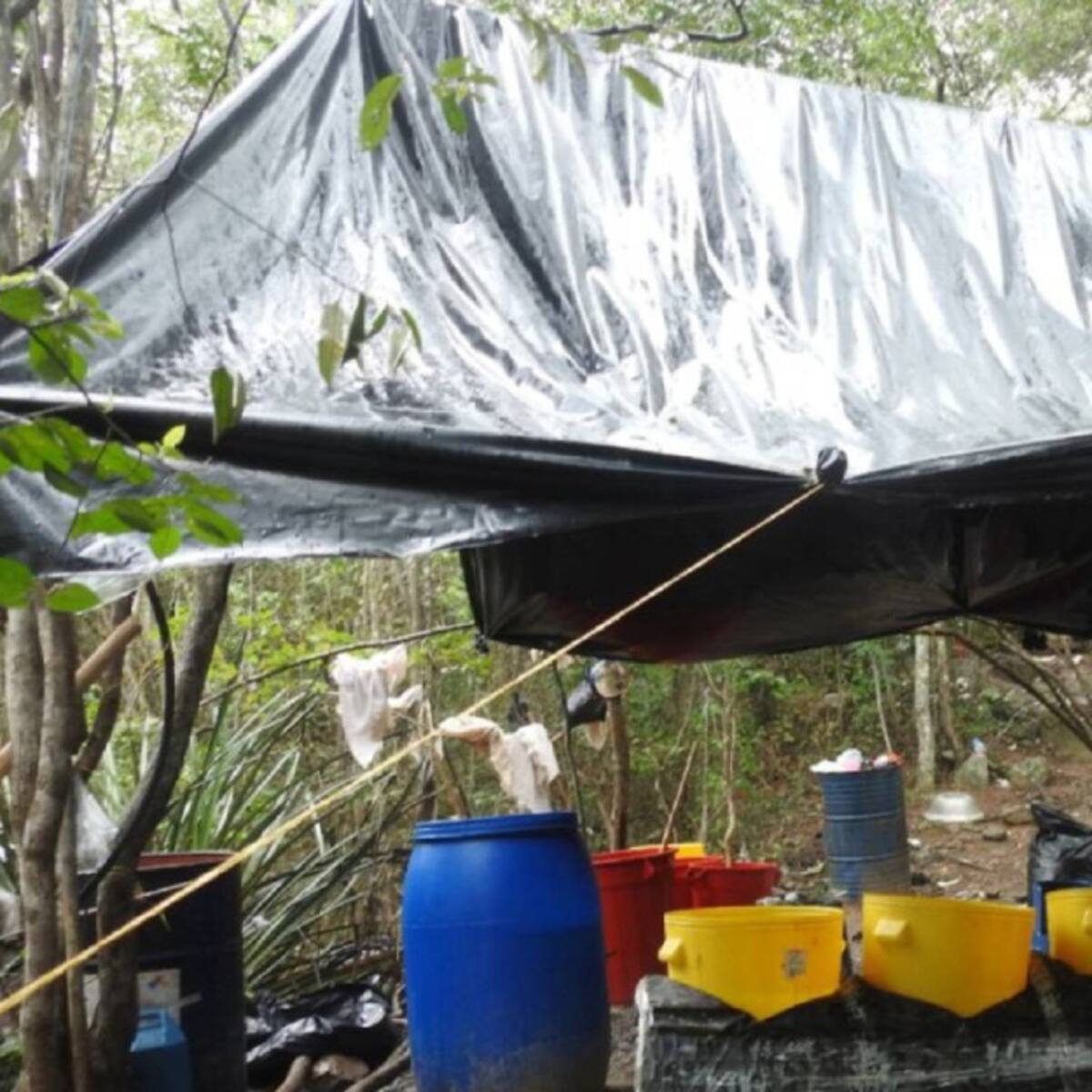 Destruyen tres laboratorios de cocaína en Sardinata