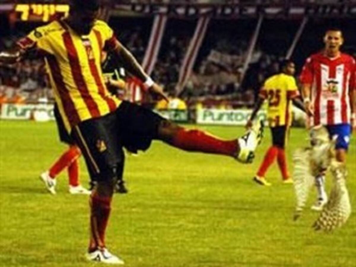 Dos fechas de sanción a futbolista por patada a la lechuza