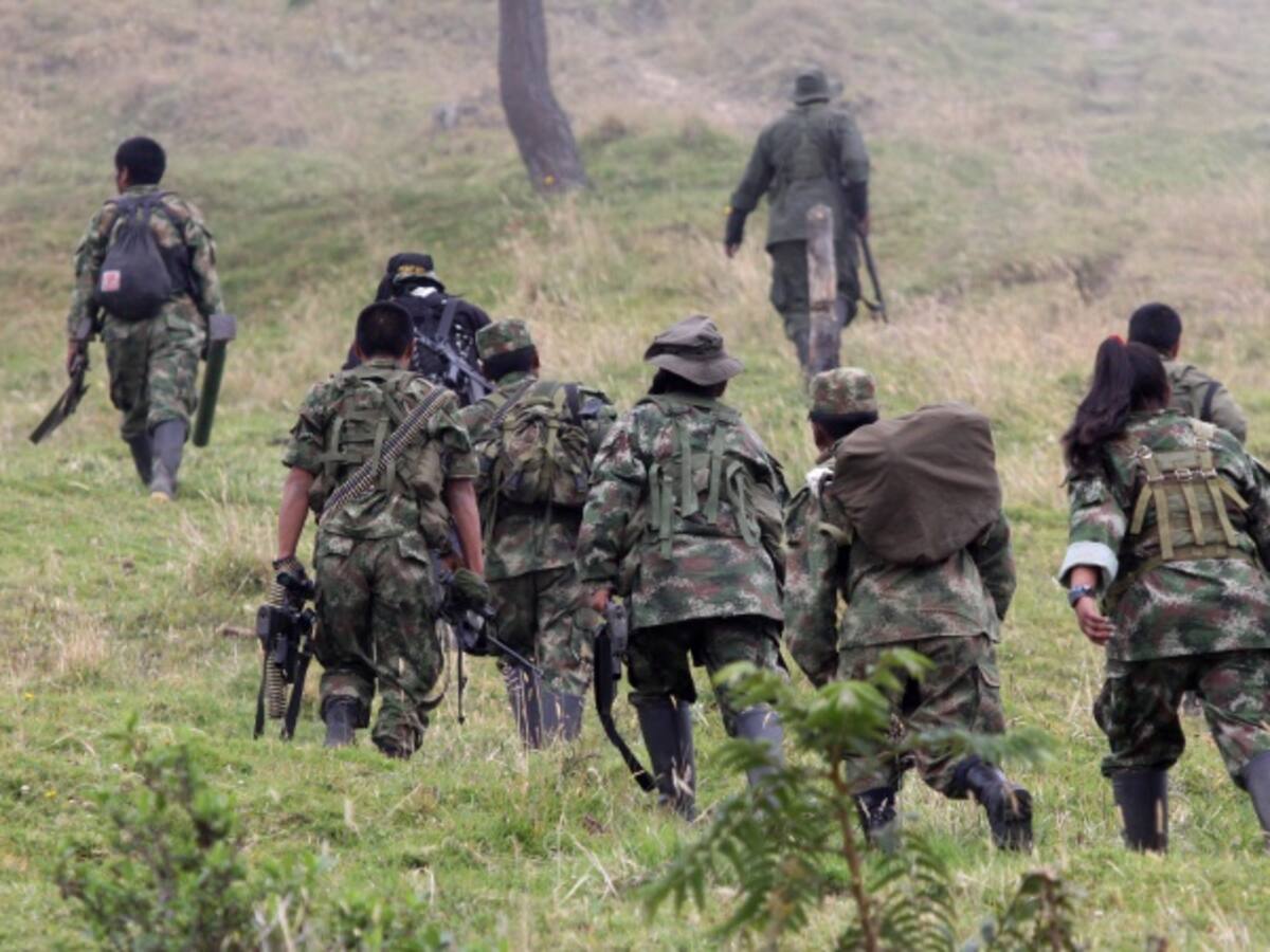 Empieza en Cuba análisis de modelos de reintegración para las Farc