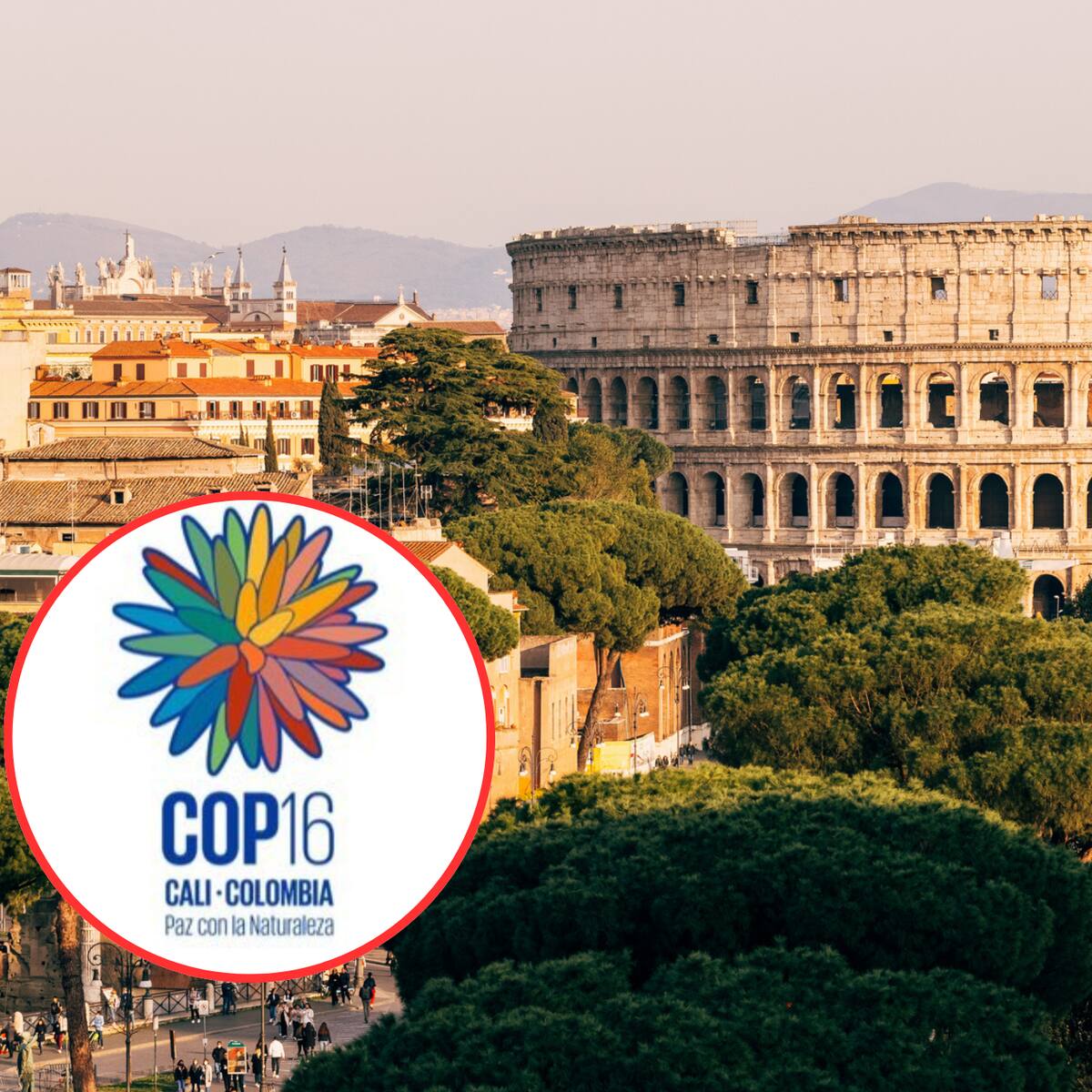 COP16 se reanudará en Roma para establecer ruta financiera que no se acordó en Cali