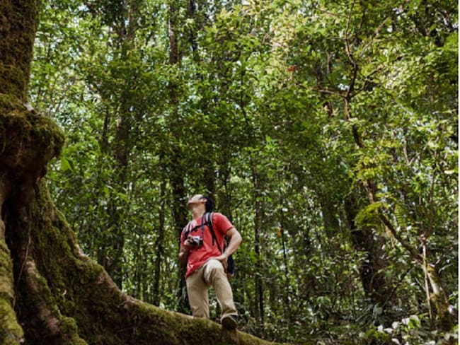 Colombia, es el el segundo país más biodiverso del planeta.