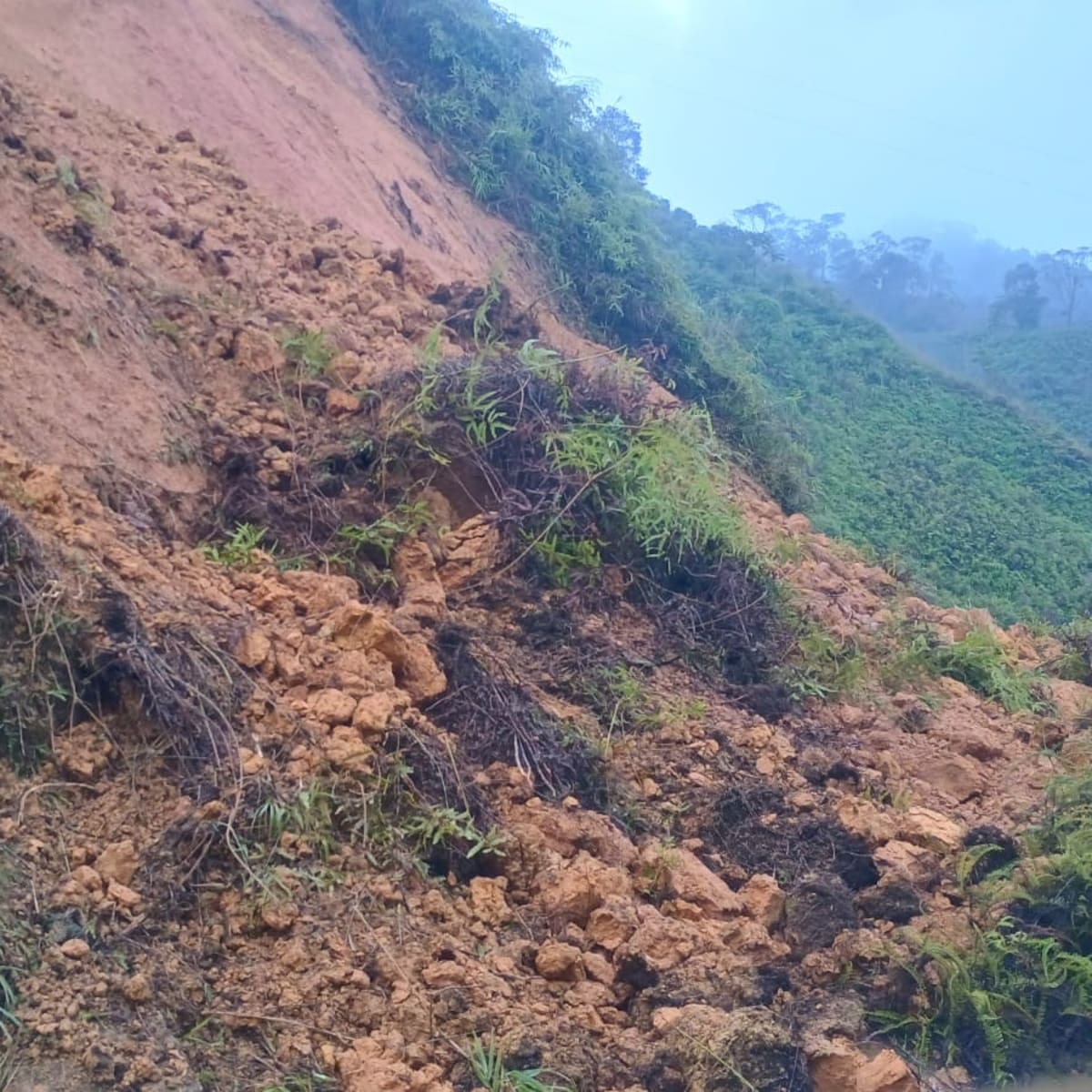 Caldas reporta más de 50 deslizamientos de tierra en las vías del norte y oriente