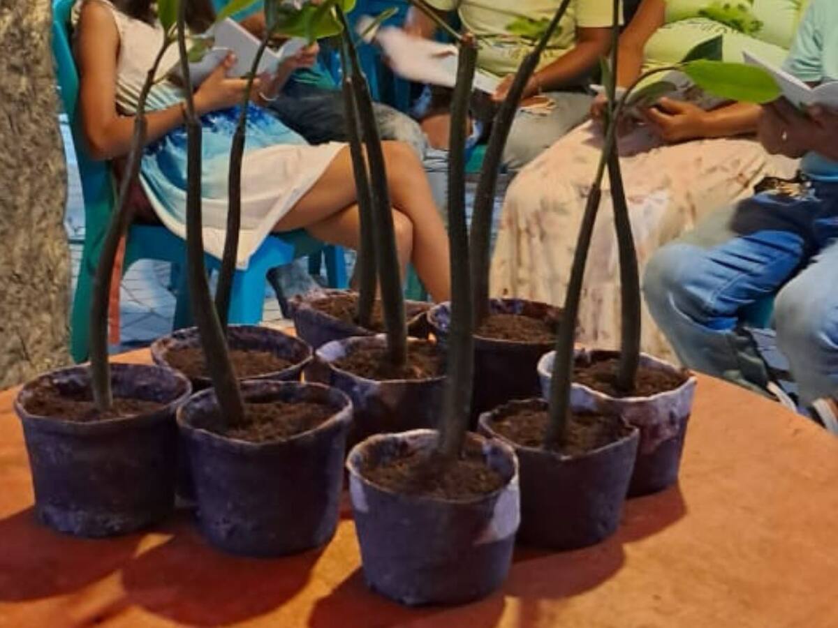 Macetas biodegradables en el barrio Fredonia fueron sembradas por Unibac