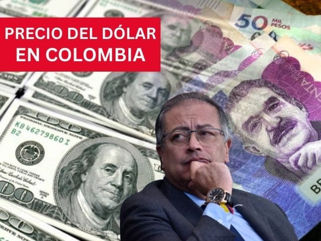 Precio del dólar en Colombia para este 14 de enero de 2026 Foto: Getty Images