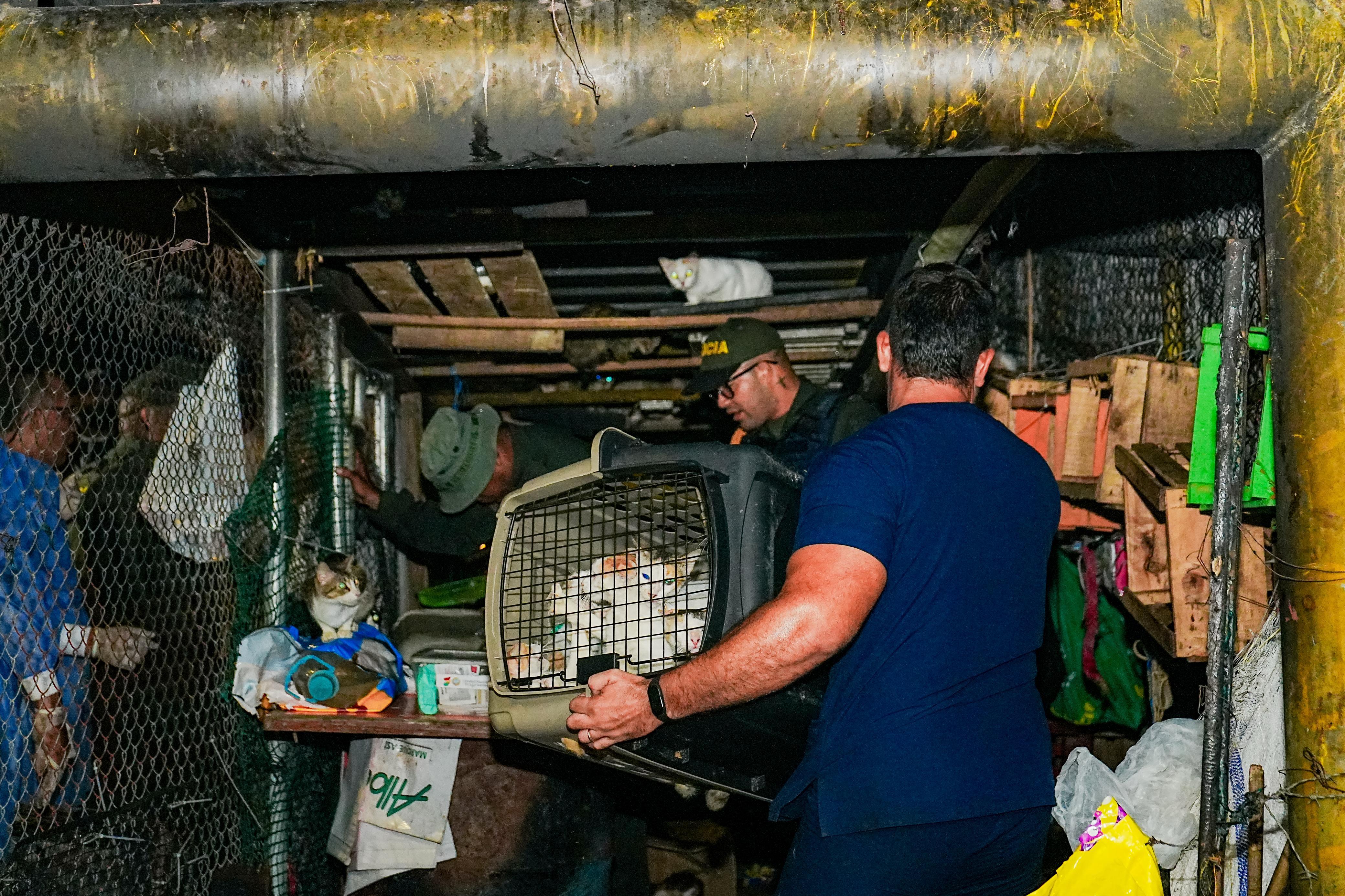 Alcaldía de Cartagena