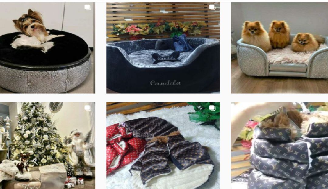 ¡No se deje estafar! En Instagram una "tienda" vende artículos de mascotas