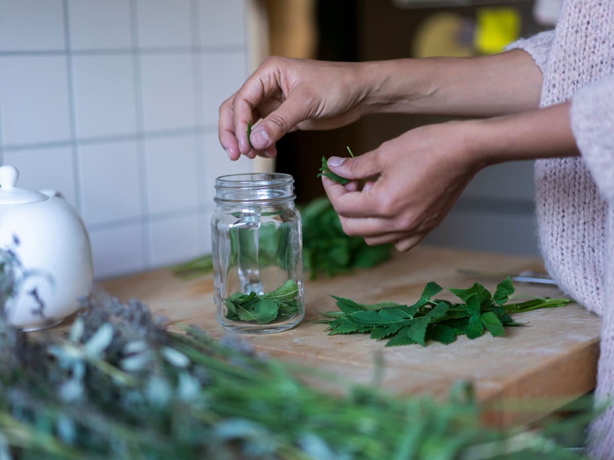 ¿Cómo desintoxicar el cuerpo naturalmente? 6 plantas medicinales que lo ayudarán