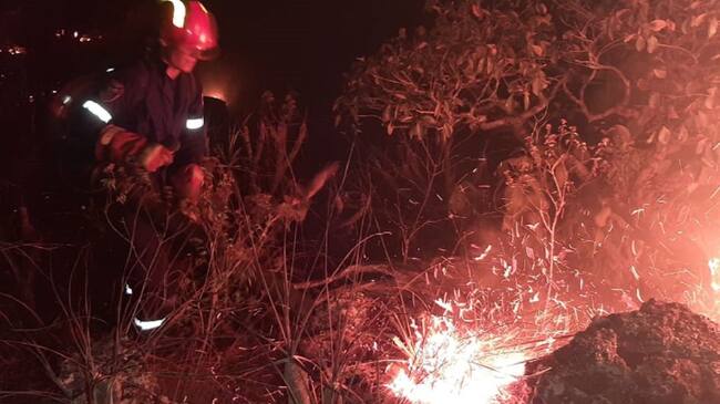 Alerta por incendio Forestal en límites del Caquetá y Meta.