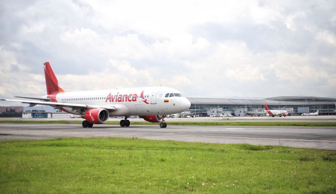 Imagen de referencia.