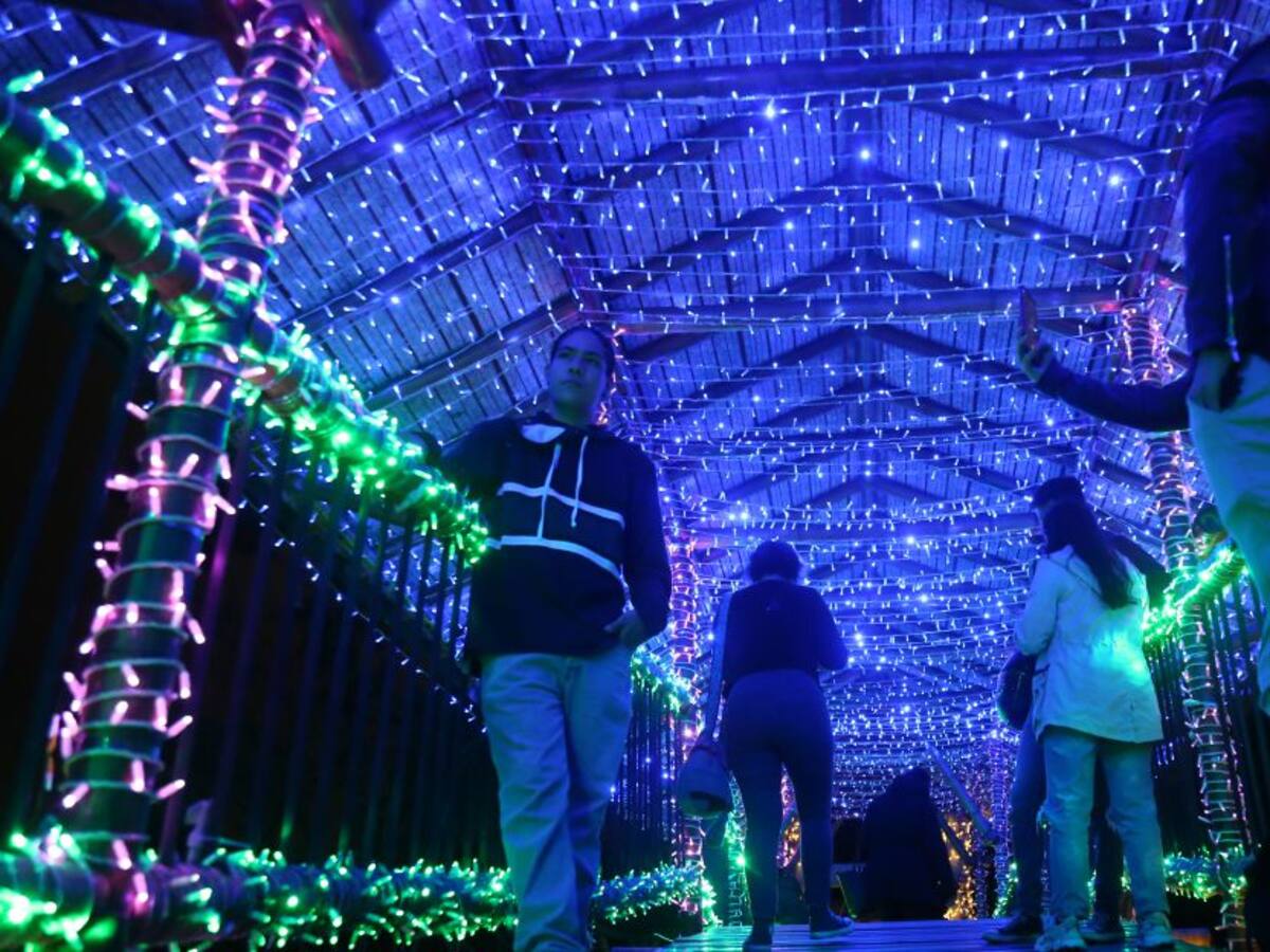 Cuatro eventos imperdibles en Bogotá la última semana del 2021