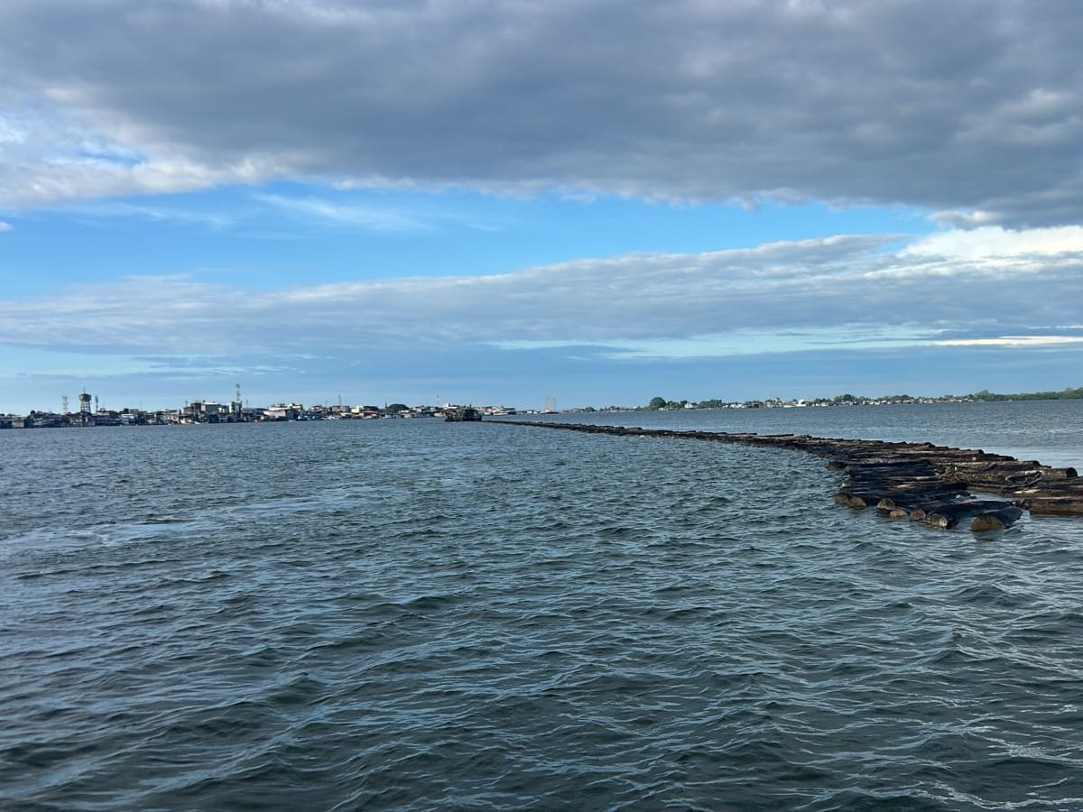 Decomisan en Tumaco más de quinientos metros cúbicos de madera transportada de manera ilegal