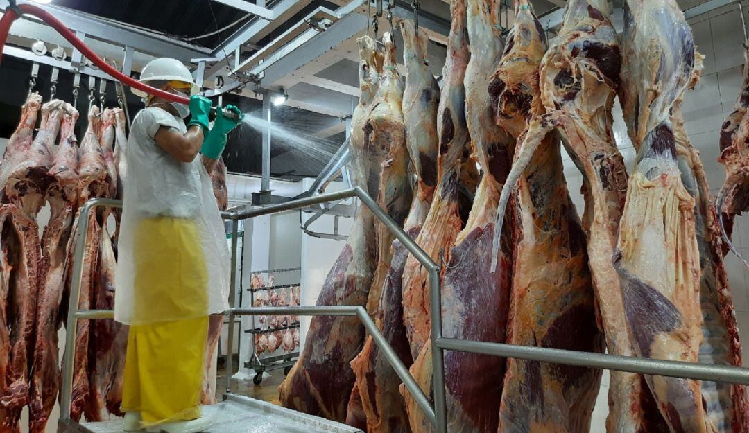 Ganaderos del Caquetá, se niegan vacunar contra la fiebre aftosa y brucelosis bovina
