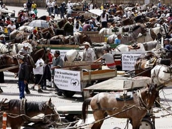 Los conductores de vehículos de tracción animal, conocidos como "zorreros", tienen preocupación por su fuente de ingresos. Foto: EFE/Archivo