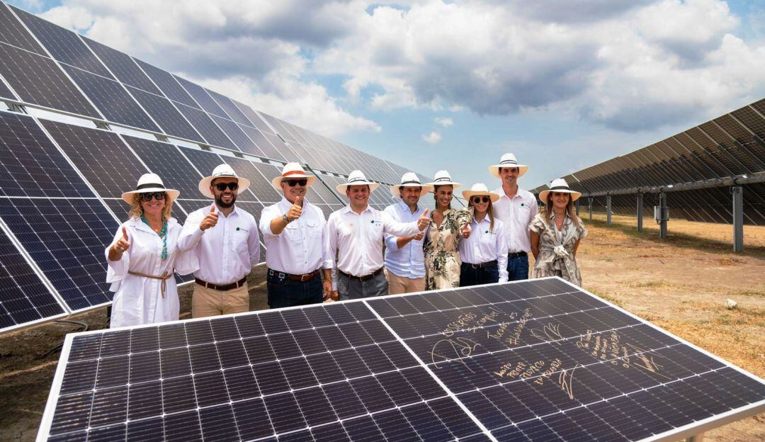 Forma parte de un conjunto de proyectos de distribución de 72 megavatios