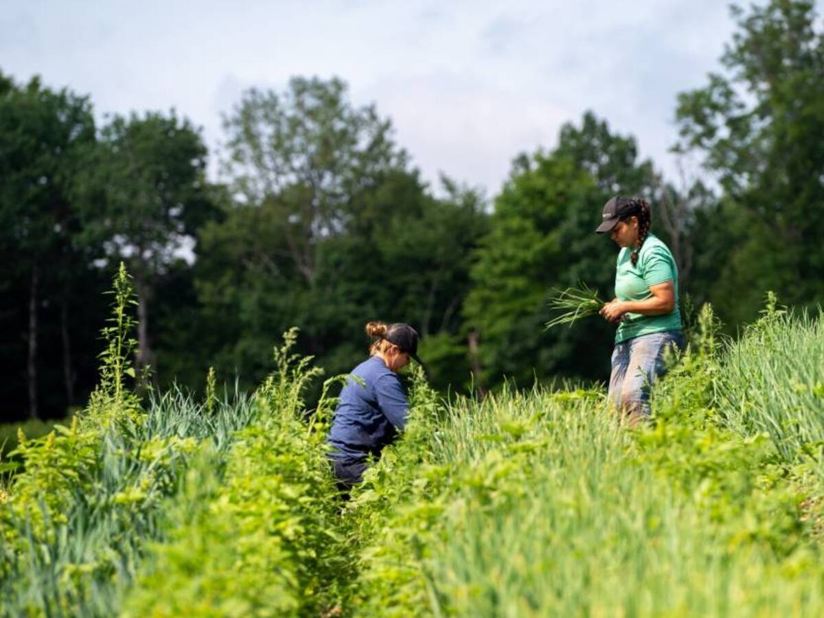 Con investigación UPTC busca adaptar los cultivos al cambio climático
