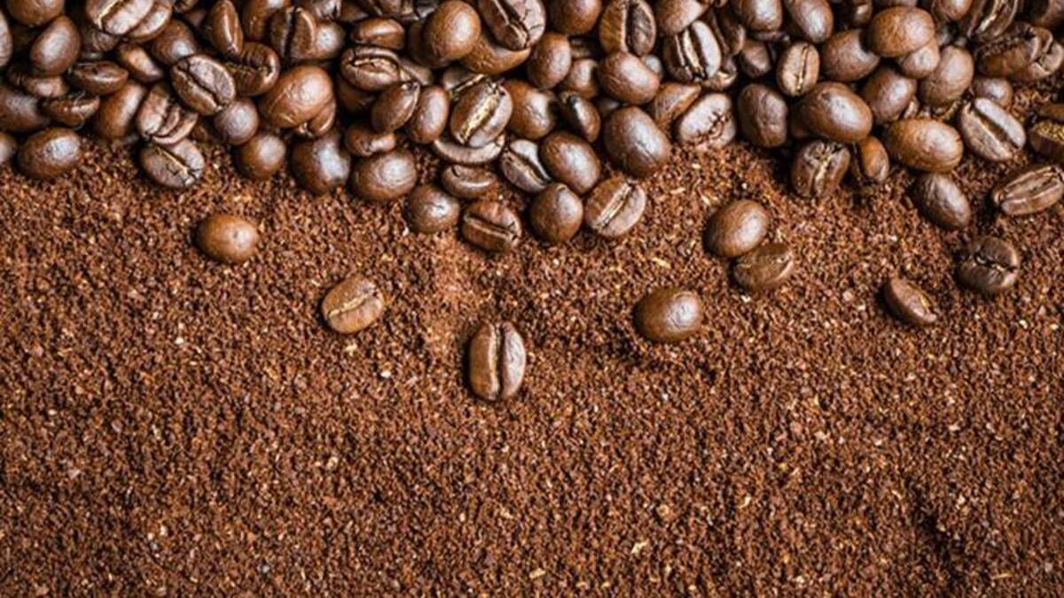 Algunos caficultores del país convocan a una movilización en agosto