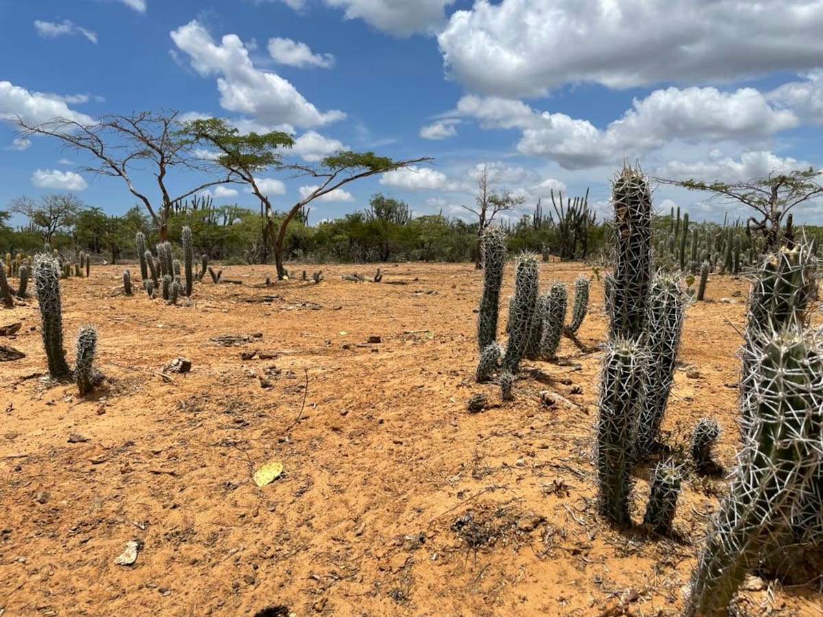 La Guajira: Desafíos de una potencia minero-energética