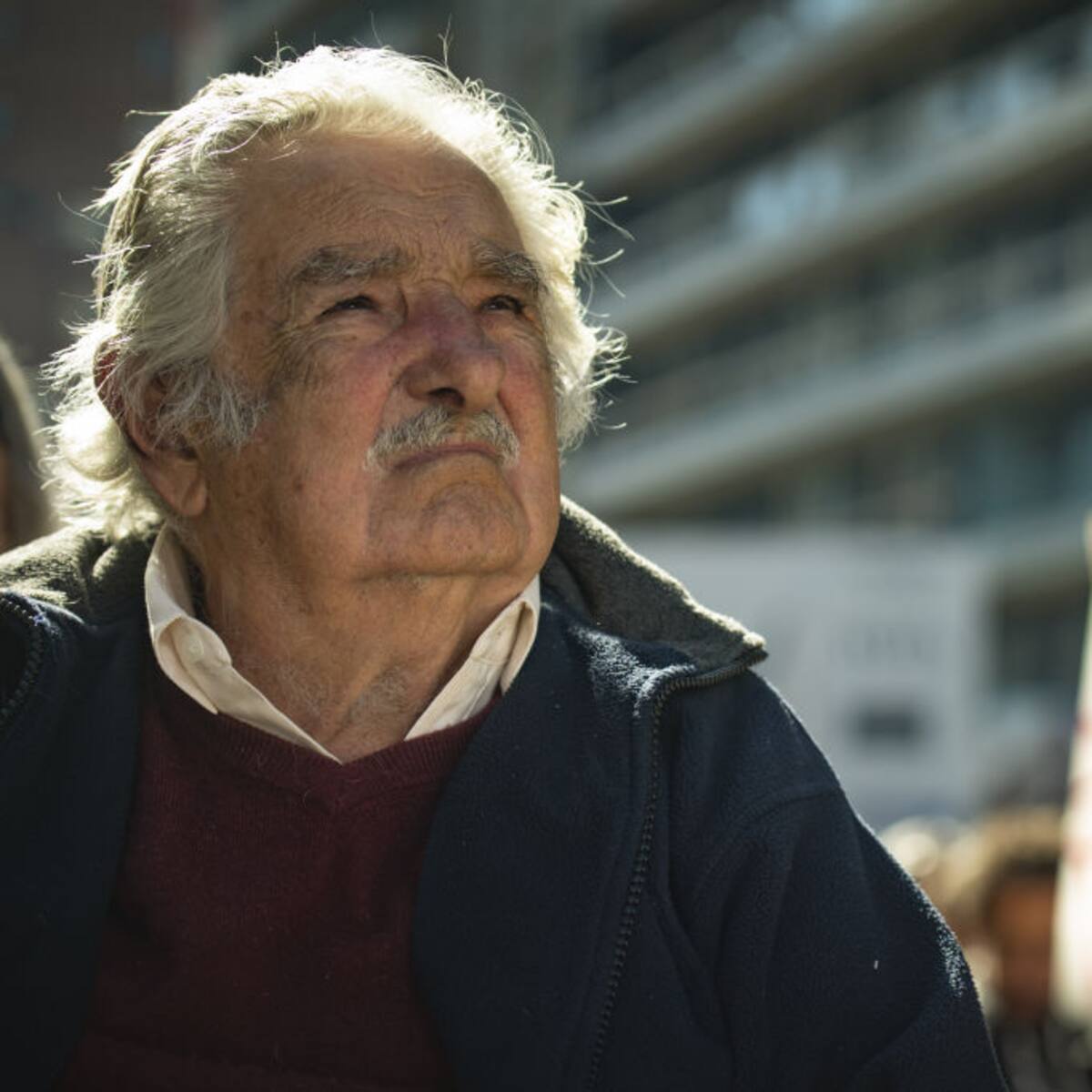 15 frases de Pepe Mujica inspiradoras: Sobre la vida, la felicidad, política y el dinero