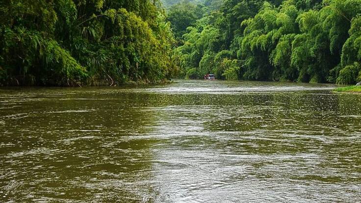 Secretaria del Interior del Quindío, Juana Gómez