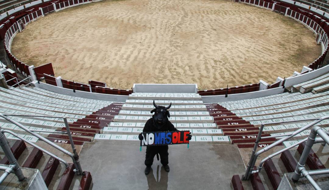 Colprensa (Camila Díaz)