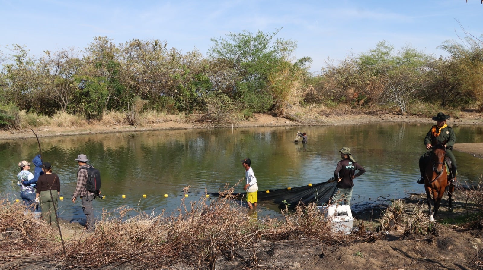 El humedal El Curíbano, ubicado al oriente de Neiva, atraviesa actualmente un periodo de marcada disminución de su espejo de agua. Foto CAM 
