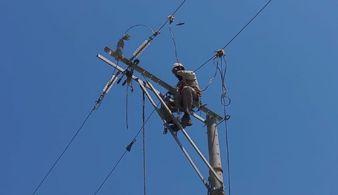 Este domingo 20 de febrero se realizará una nueva jornada de labores desde las 8:00 de la mañana hasta las 5:00 de la tarde