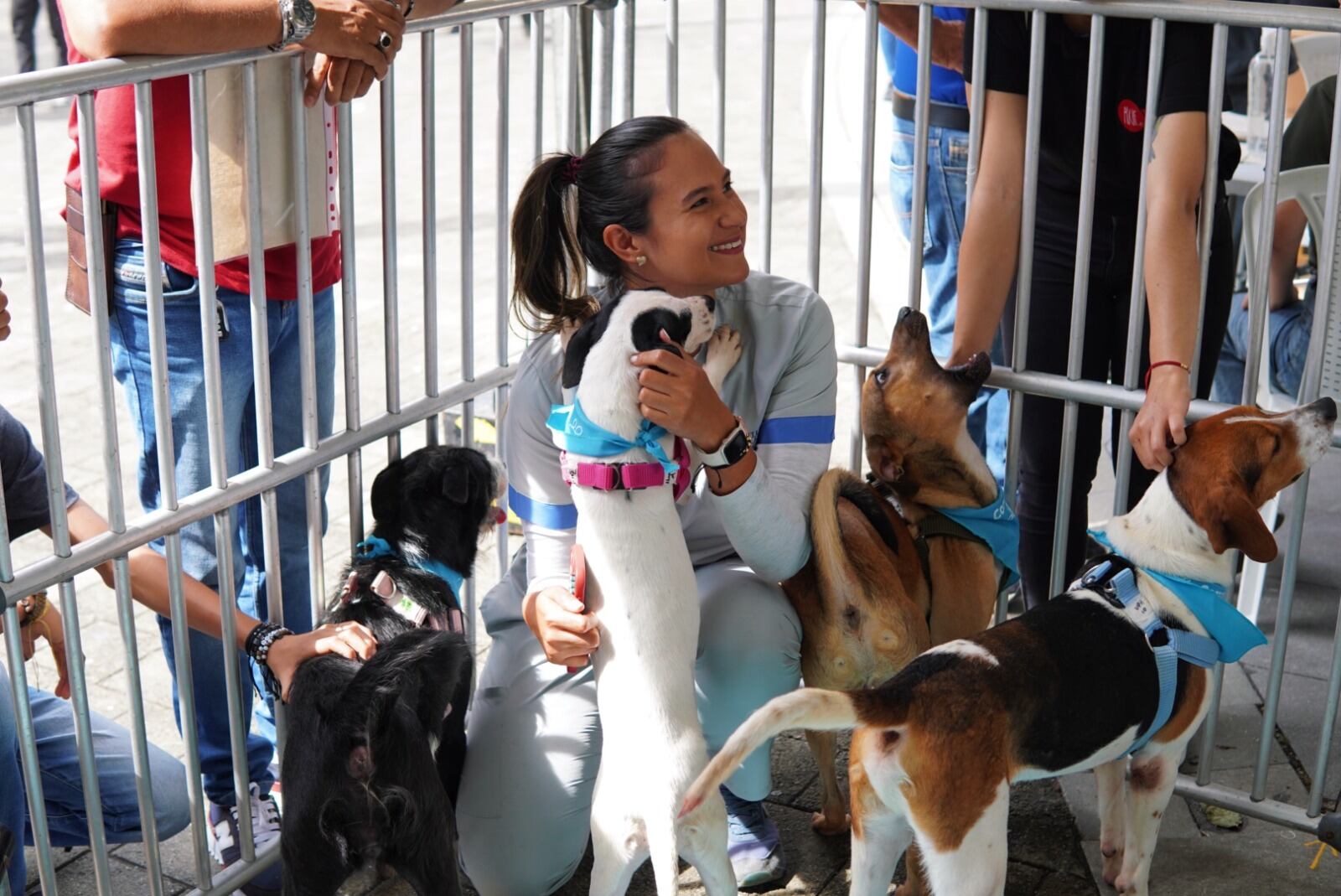 Adoptatón en Medellín. Foto: Alcaldía de Medellín.