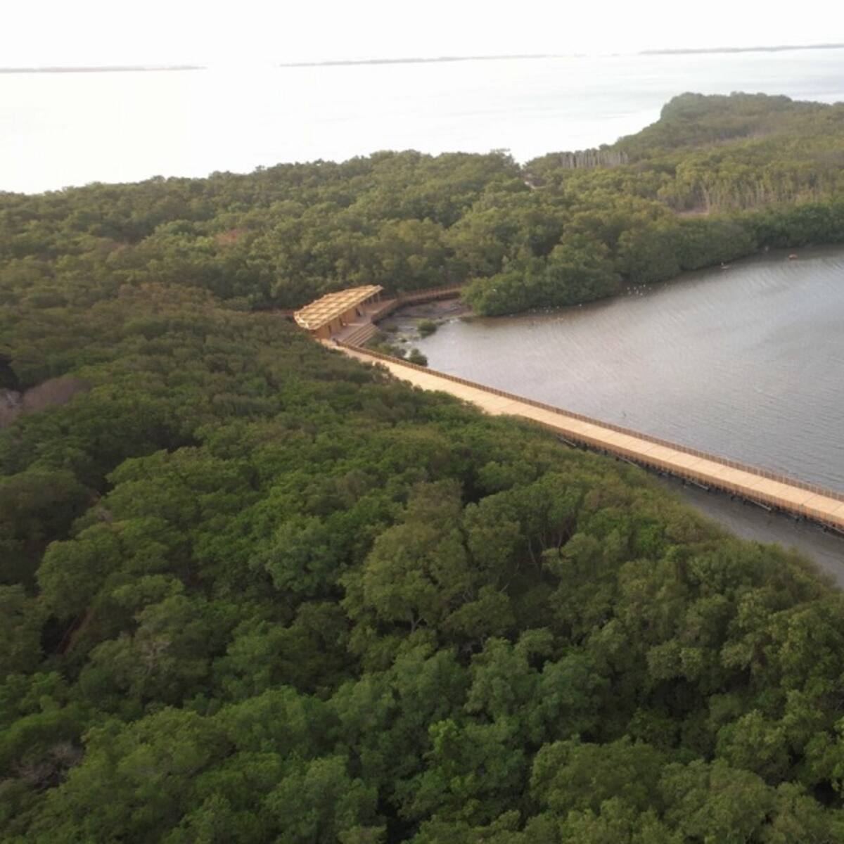 Barranquilla, la ciudad verde que apuesta a la conservación y cuidado del medio ambiente