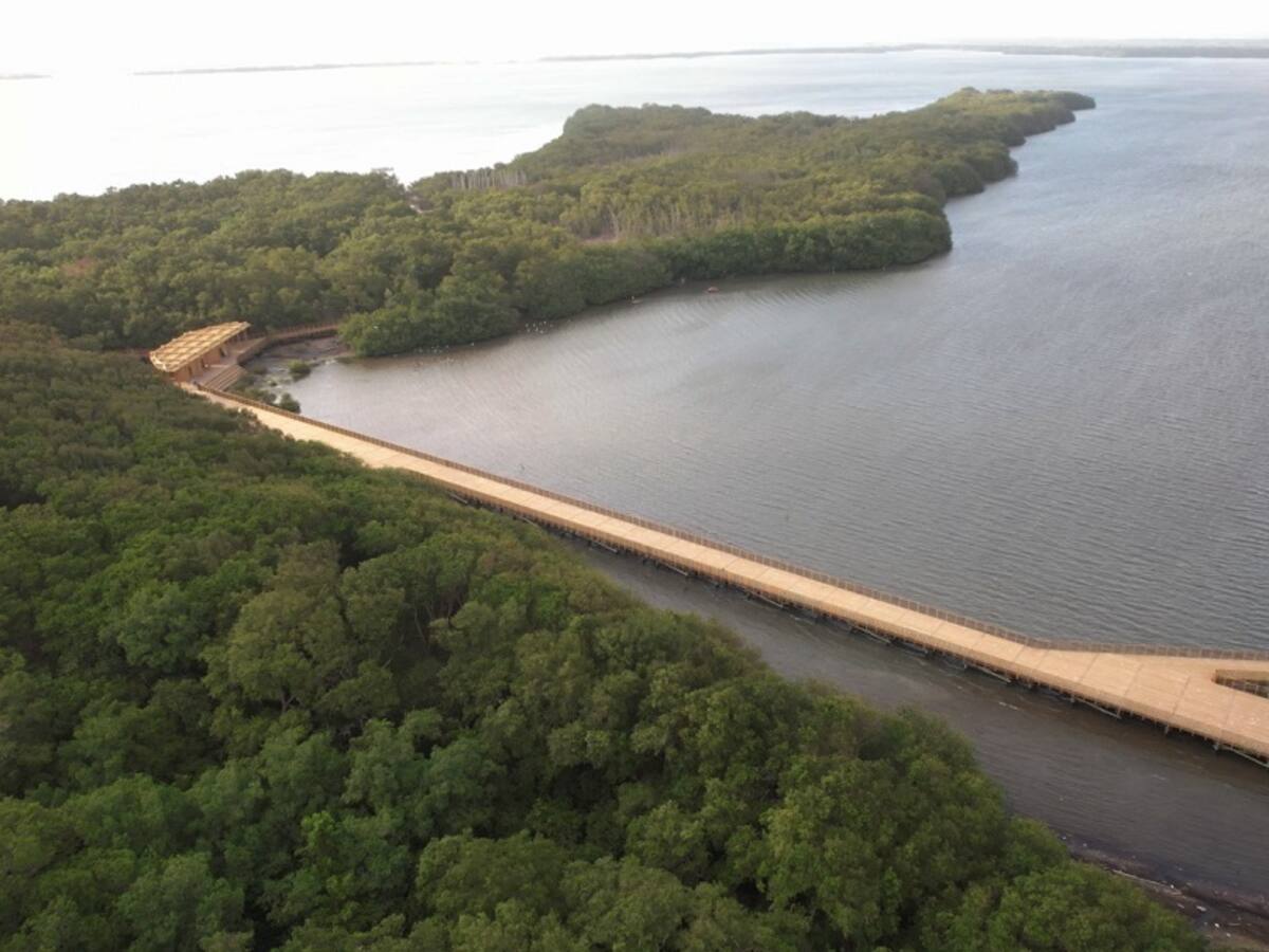 Barranquilla, la ciudad verde que apuesta a la conservación y cuidado del medio ambiente