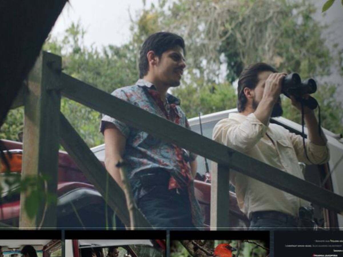 Colombian Ambush, la "emboscada" publicitaria contra las narcoseries