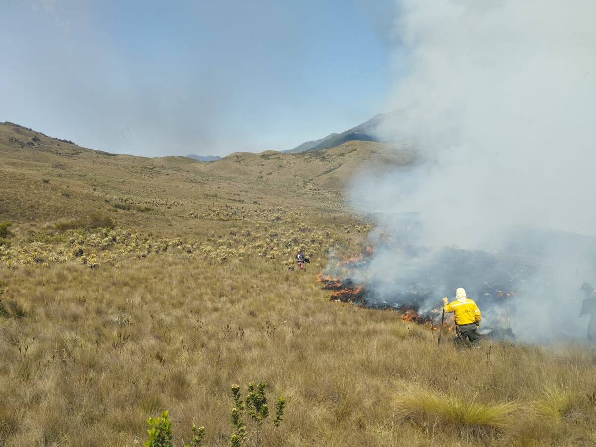 Cortolima solicita activar planes de contingencia por incendio forestales
